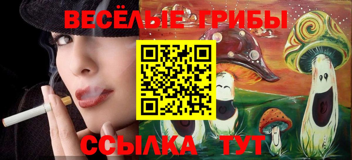 Галлюциногенные грибы Magic Shrooms Надым