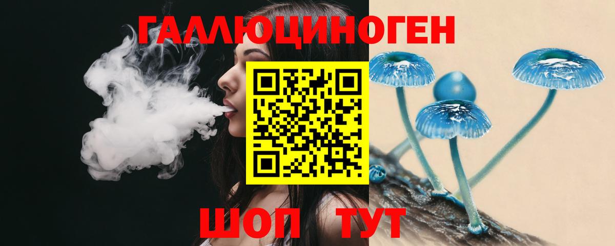 Галлюциногенные грибы прущие грибы  где найти   Надым  Псилоцибиновые грибы Psilocybine cubensis  Вход с VPN 
